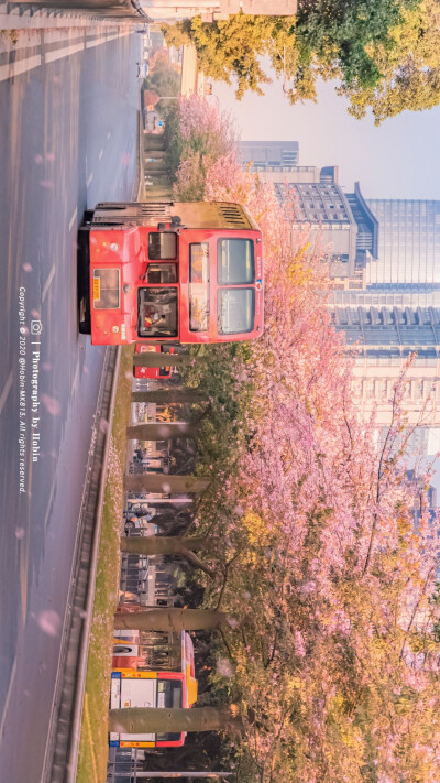 壁纸～
［侵权删］