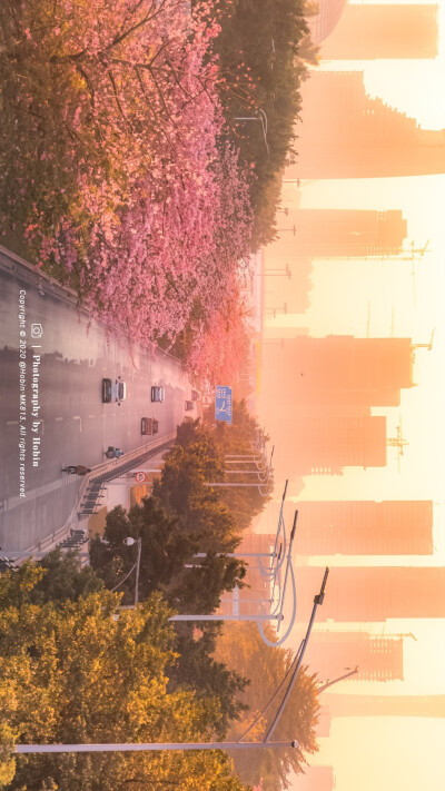 壁纸～
［侵权删］