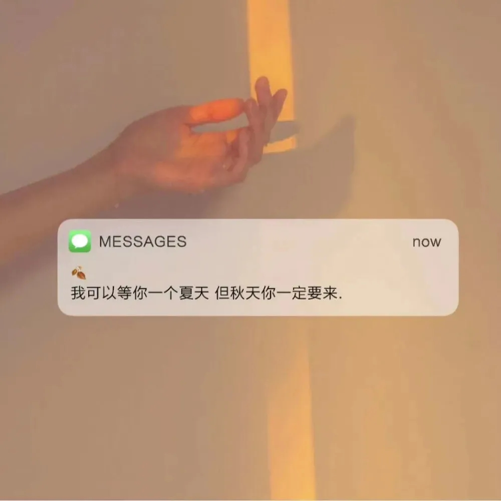 字字入我心✨文字控 关于秋天的温柔文案 message