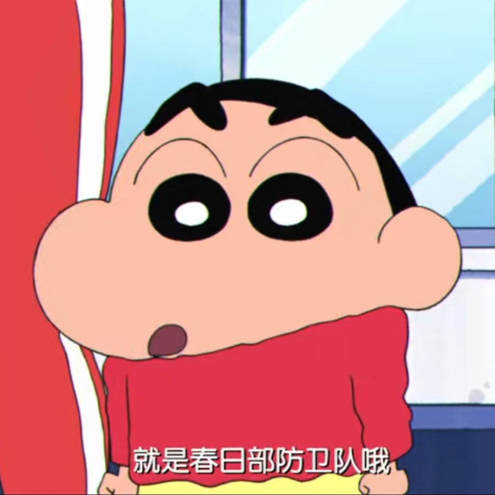 蜡笔小新之功夫小子