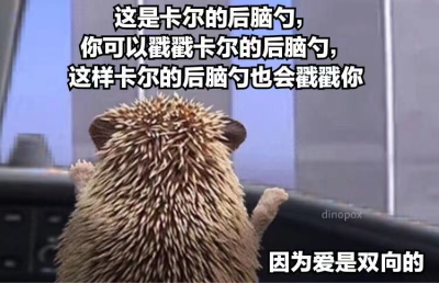 卡尔 表情包