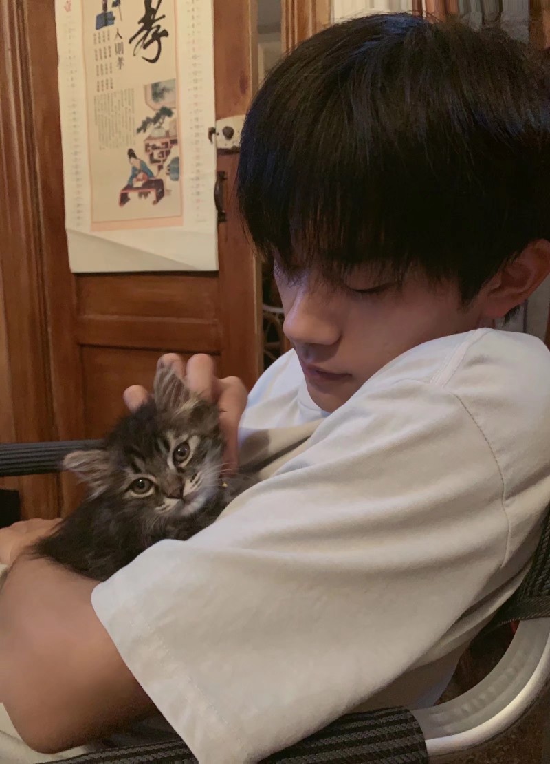 易烊千玺抱猫