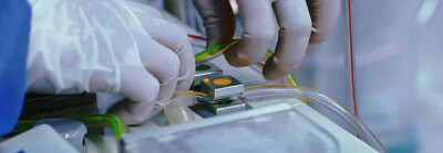 自截自调，二改二传请注明出处：宁子安Ho