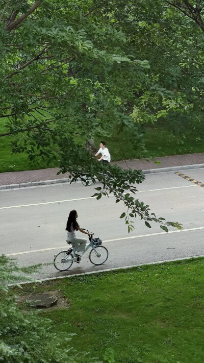 拥抱夏日 追逐明朗 永远闪光⚡