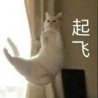 哟咯本我带着毕业证放假了
更新走起！