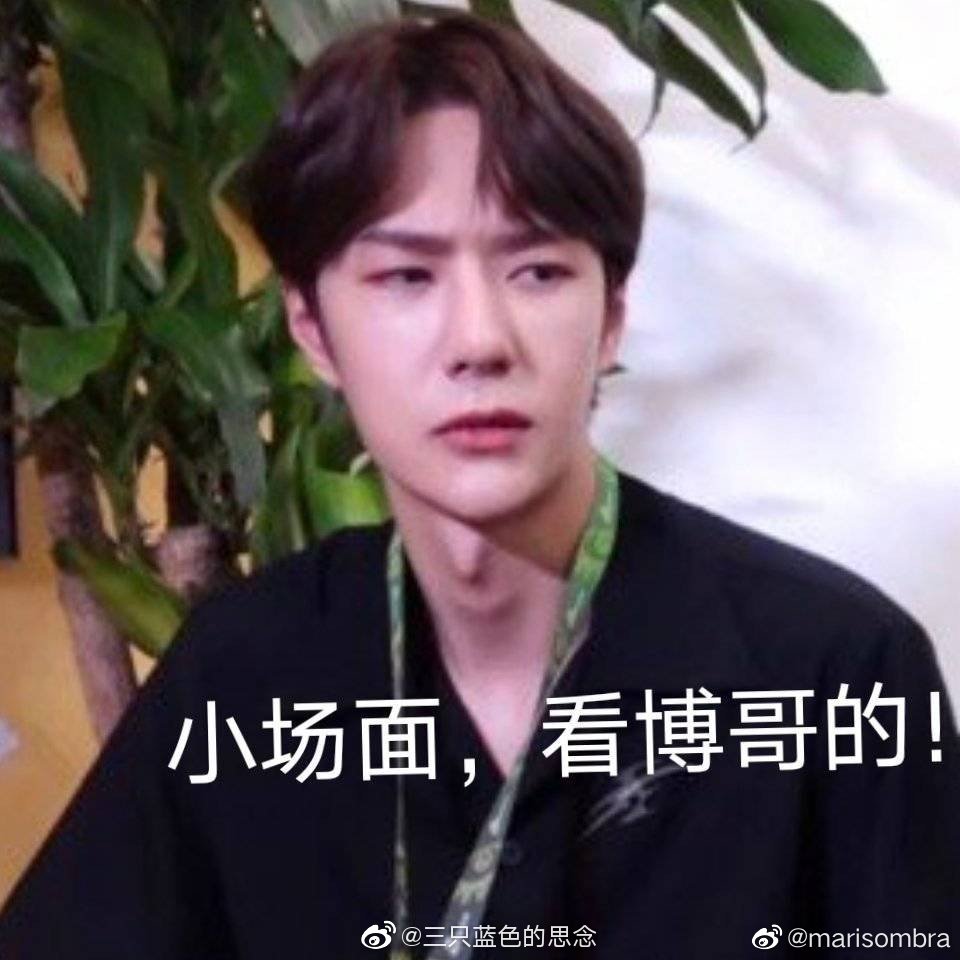 博肖表情包