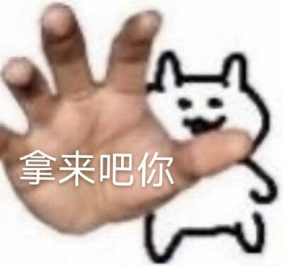 拿来吧你 表情包