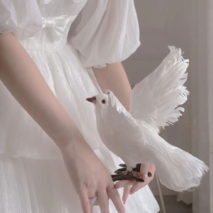 程潇可二改套图
注明林榆潇