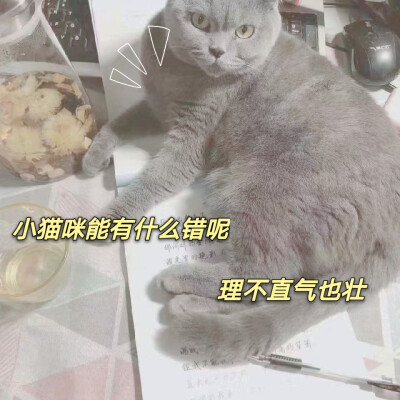 我喵