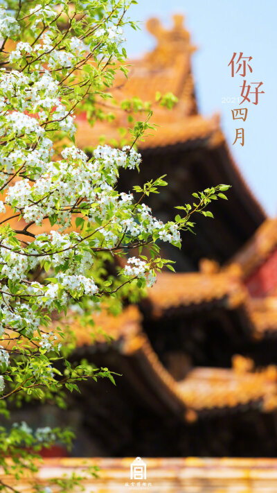 故宫