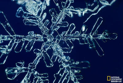 永不消失的雪花
国家地理摄影师Robert Sisson成功通过一种铸模，在雪花融化之后还能保留住雪片的形状，他将这些形状拍了下来，刊登在1970年1月的《国家地理》杂志上。摄影：ROBERT SISSON