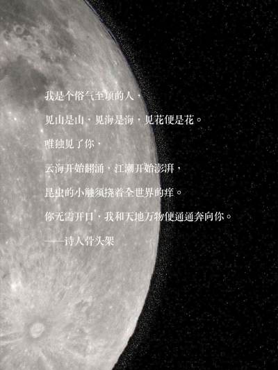 小狗鼻子上的蝴蝶/ 自制 禁二传