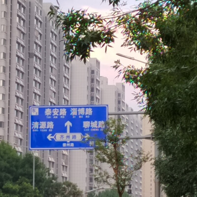 驾校三连&道路指示（刚考完科一的我立刻就忘记了这个标标叫什么 我有罪）