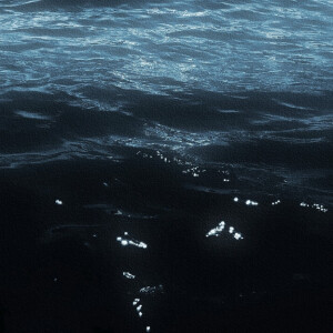 
彦、拜托你想起看看月亮。