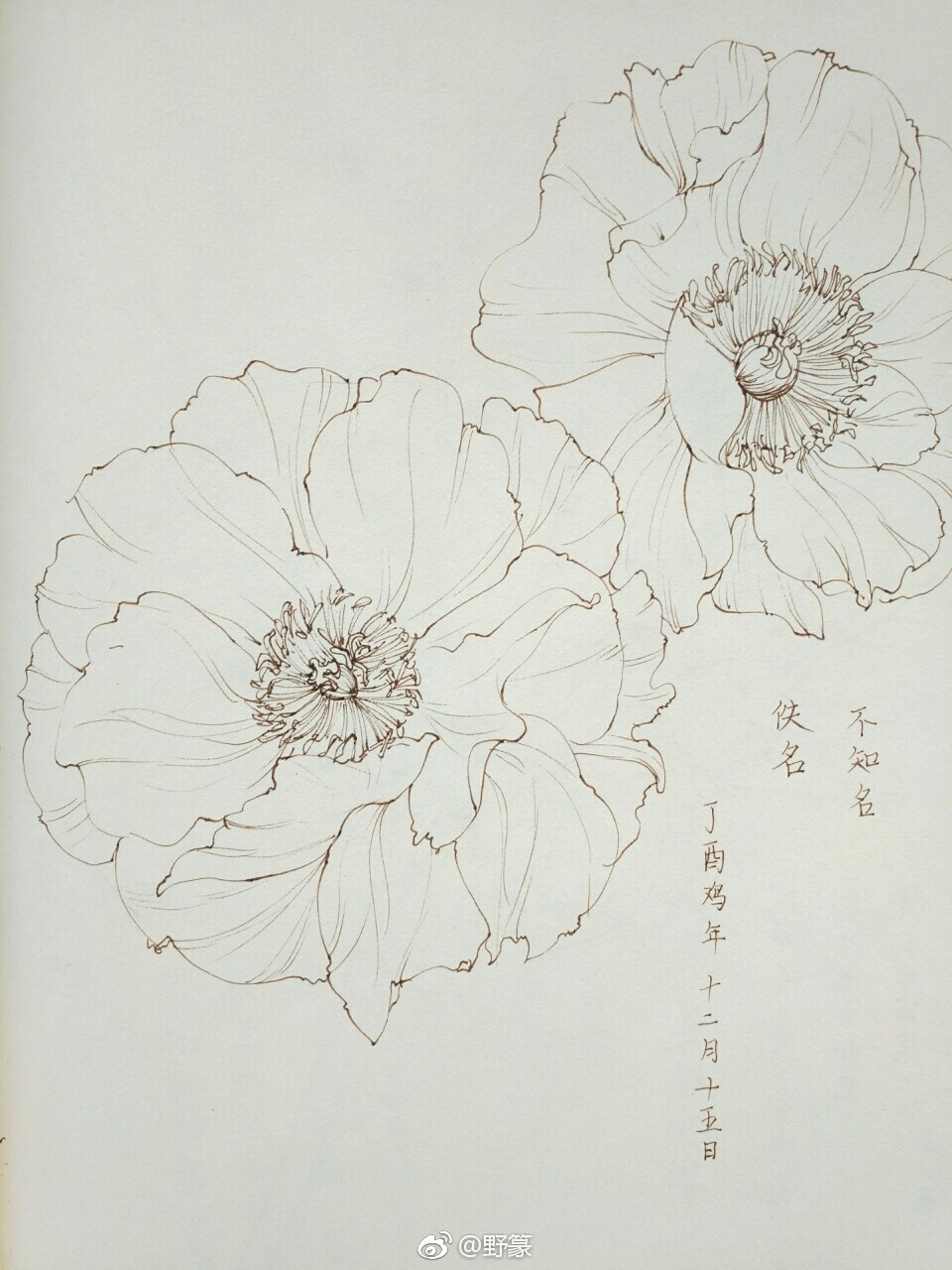 线稿 野篆