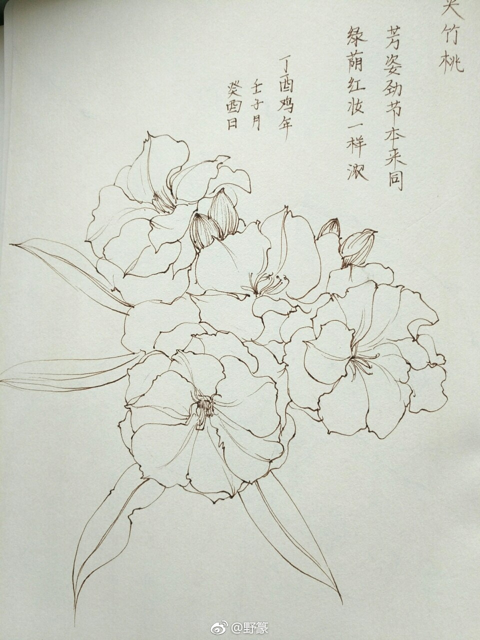 线稿 野篆