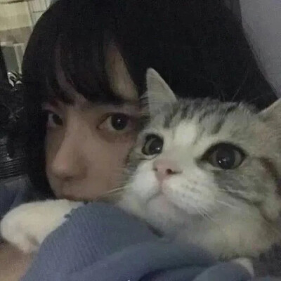 女生头像 抱猫