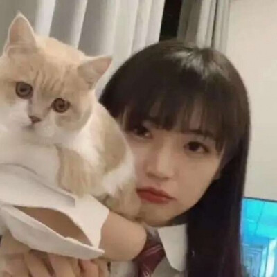 女生头像 抱猫