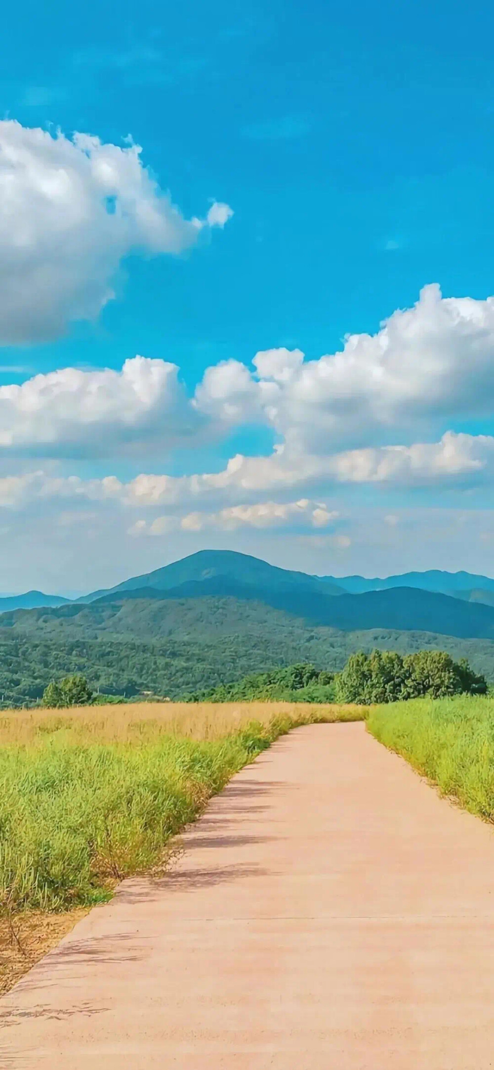 风景