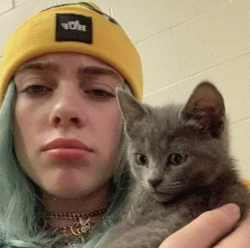 碧梨 Billieeilish ins自截