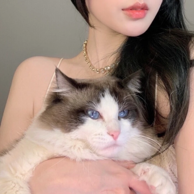 可爱的抱猫女头