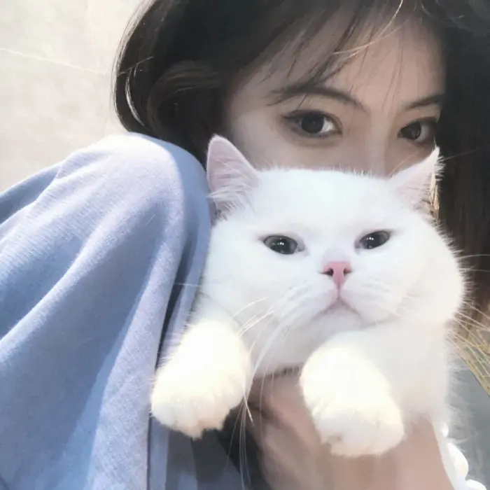 可爱的抱猫女头