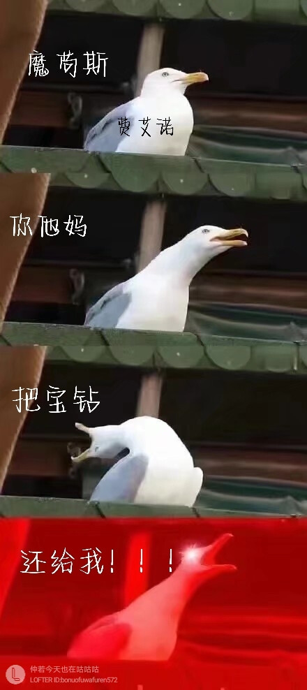 精灵宝钻