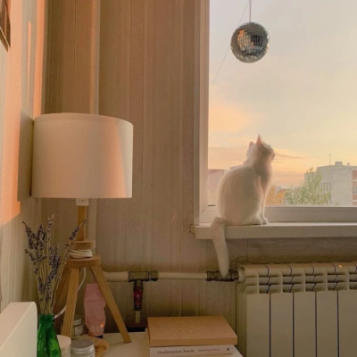 程潇套图可二改 不注
二改收专 别收藏单图