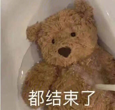各种表情包