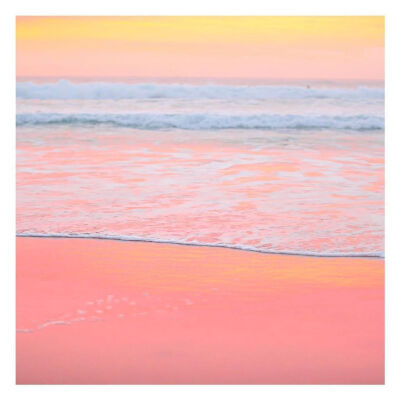 粉色系朋友圈壁纸
by Charlotte Curd ​​​