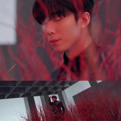 SF9 Tear Drop 金辉映