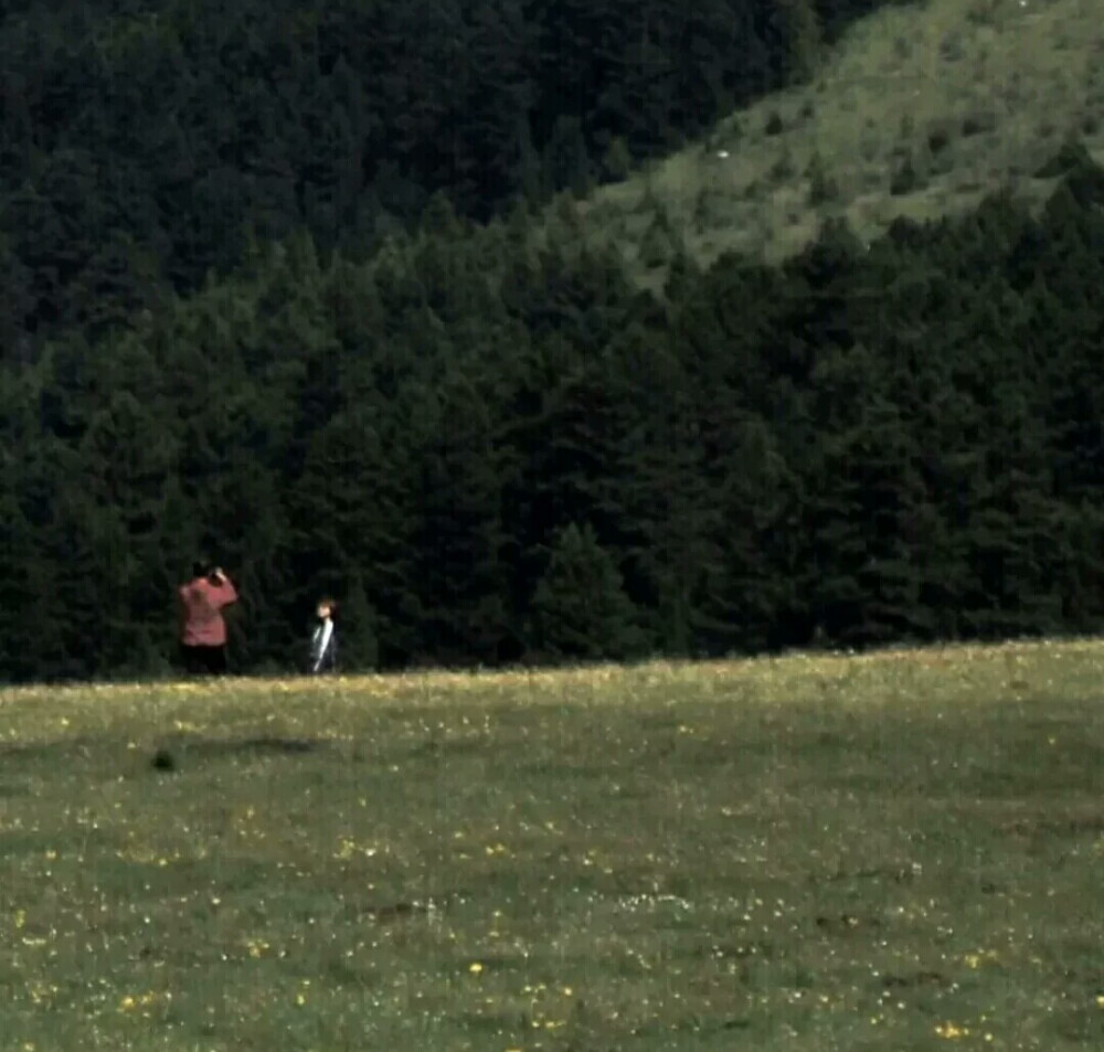 属于我们的夏日