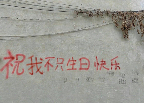 太看得起我这个voyager