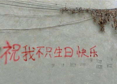 太看得起我这个voyager