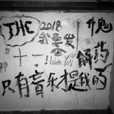太看得起我这个voyager