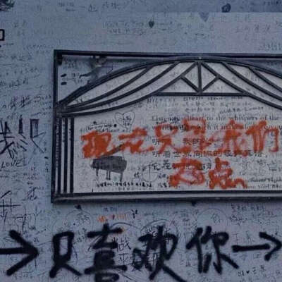 太看得起我这个voyager