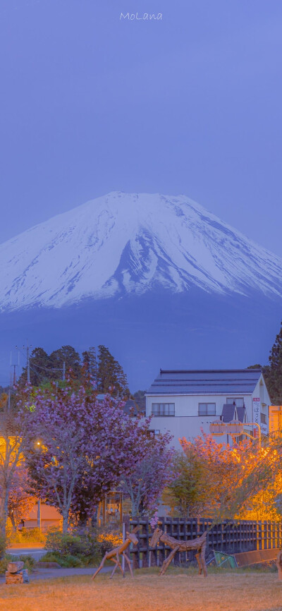 富士山