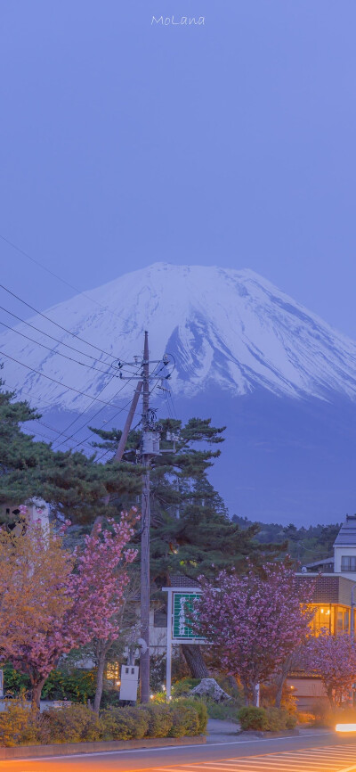 富士山