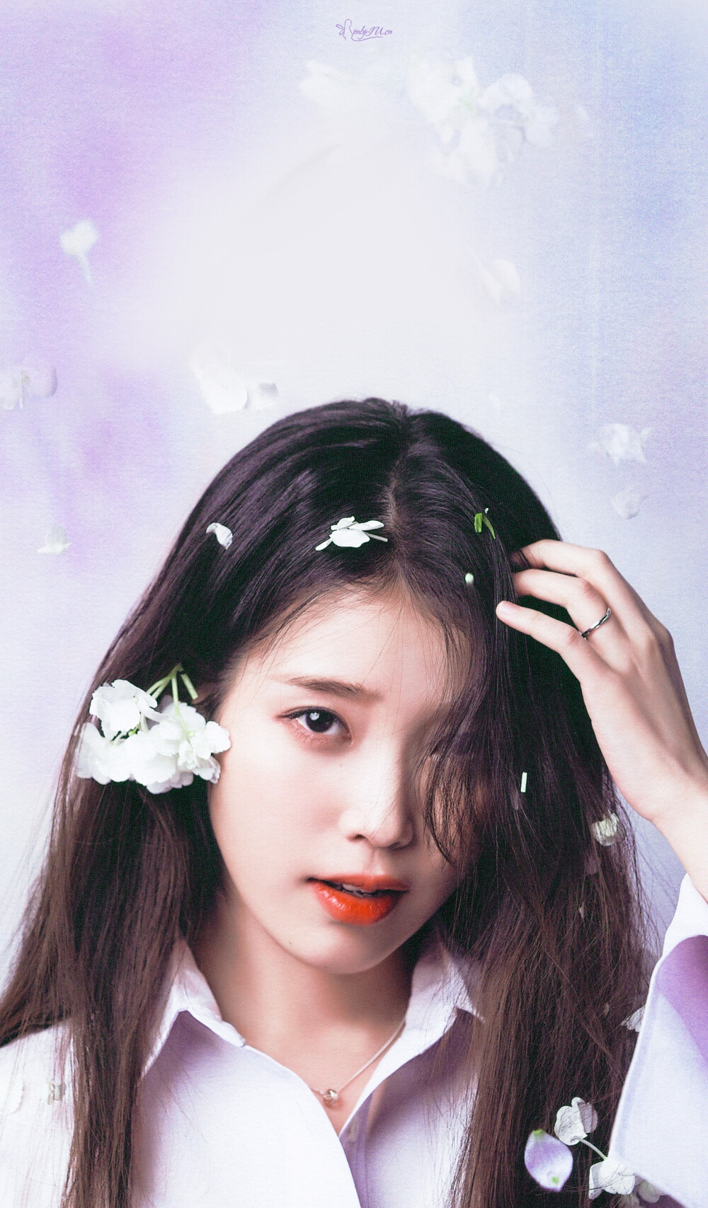 iu