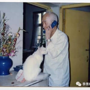 季羡林与猫