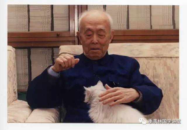 季羡林与猫