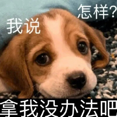 怎样，拿我没办法吧？