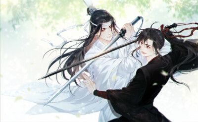 魔道祖师
魏无羡蓝忘机