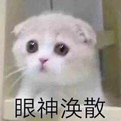 沙雕表情包