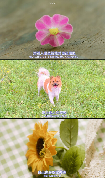 高清摄影 | 电影动漫台词文案
cr.白桃子