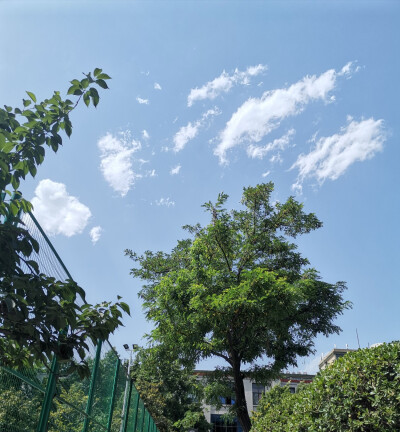 蓝蓝的天空☁️☁️