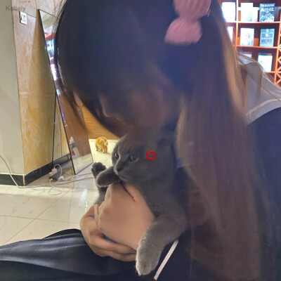 兜售厨娘