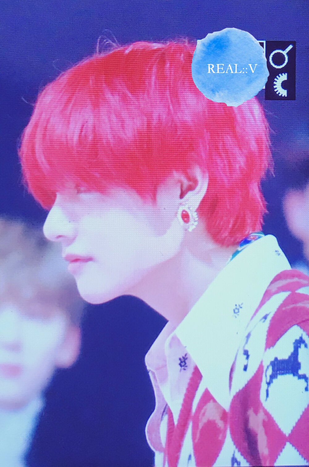 请用一只玫瑰纪念我