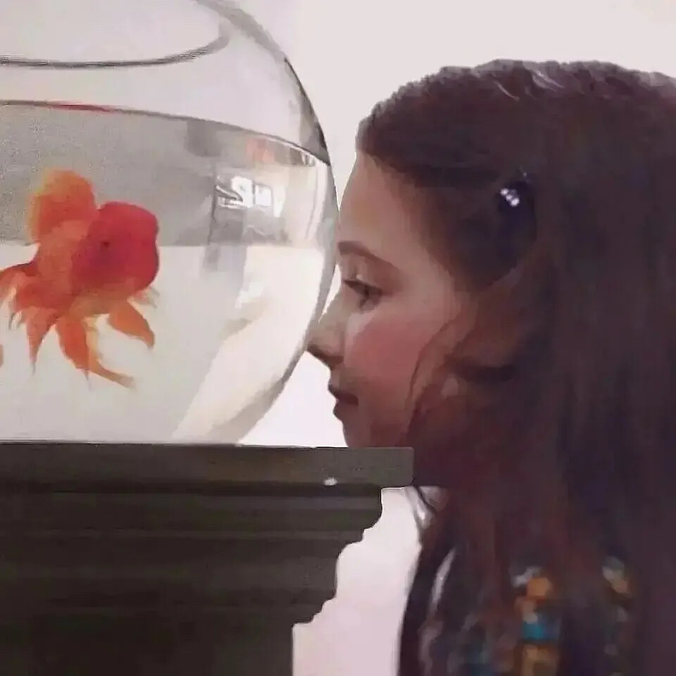 爱是想触碰又收回手。