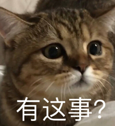  『阿猫阿狗沙雕表情包』
图源网络 可补充至评论区
素质取图！！！